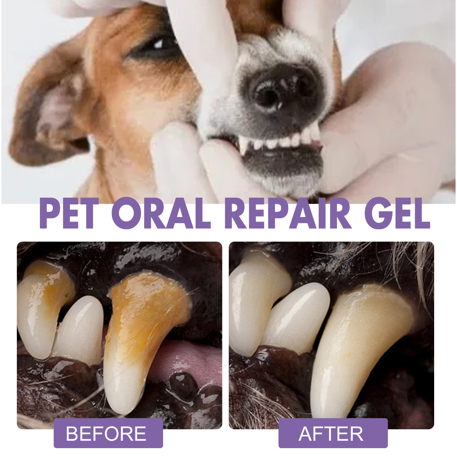 Pet Oral Repair Gel Puppy Tart - Teeth Whitening Q&M reseña y precio