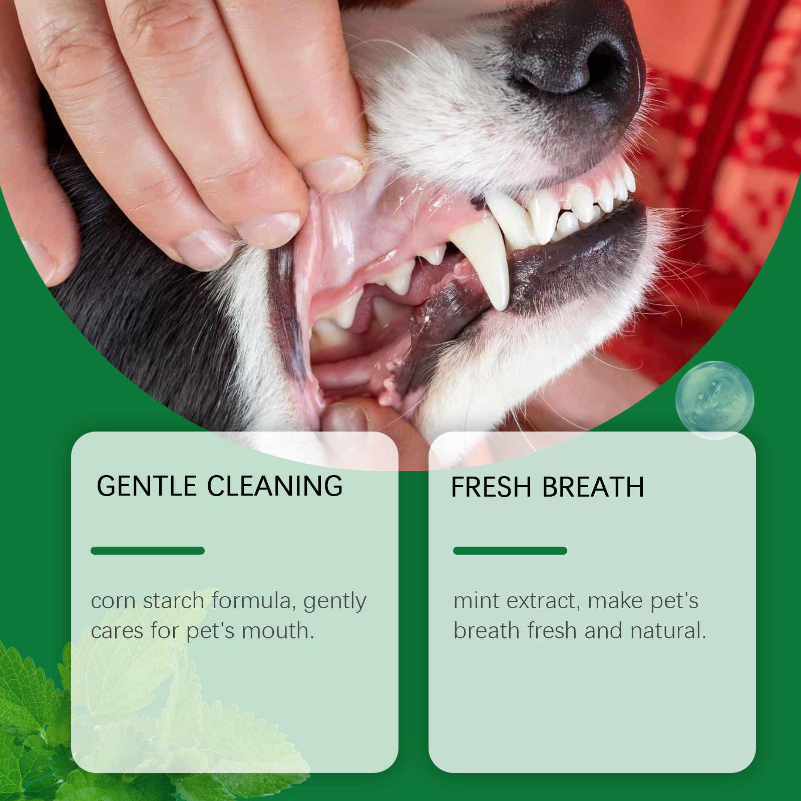Pet Teeth Cleaning Powder Redu - Teeth Whitening Quotes reseña y precio