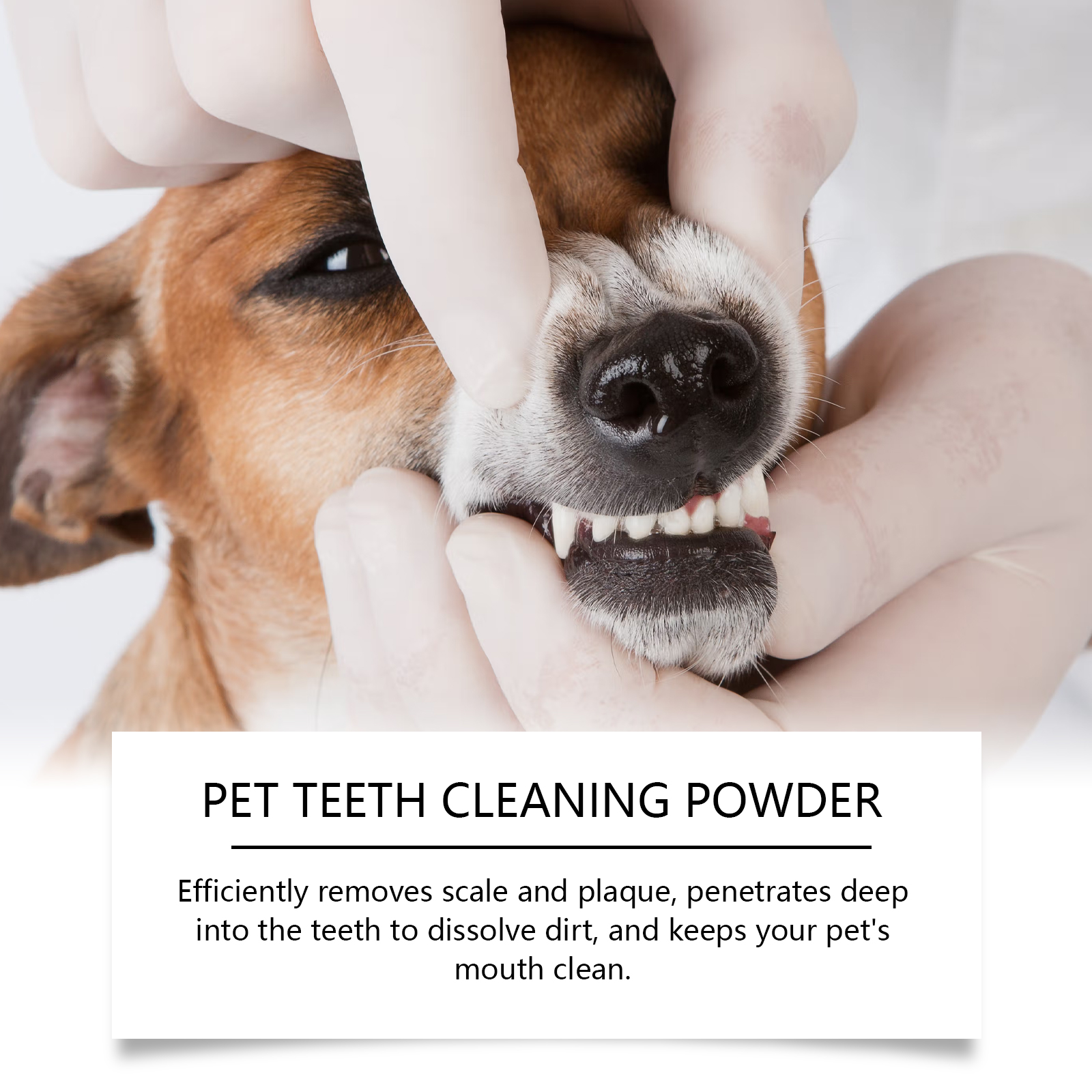 Pet Teeth Cleaning Powder Redu - Teeth Whitening Quotes reseña y precio